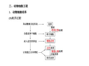 2017版高考生物一轮复习课件 通用版第12单元第2讲——细胞工程精讲