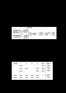 细胞工程高考真题强化训练与解析