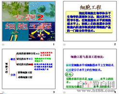 细胞工程 原理、技术及应用